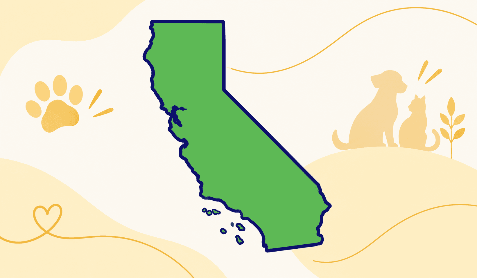 California Application state illustration