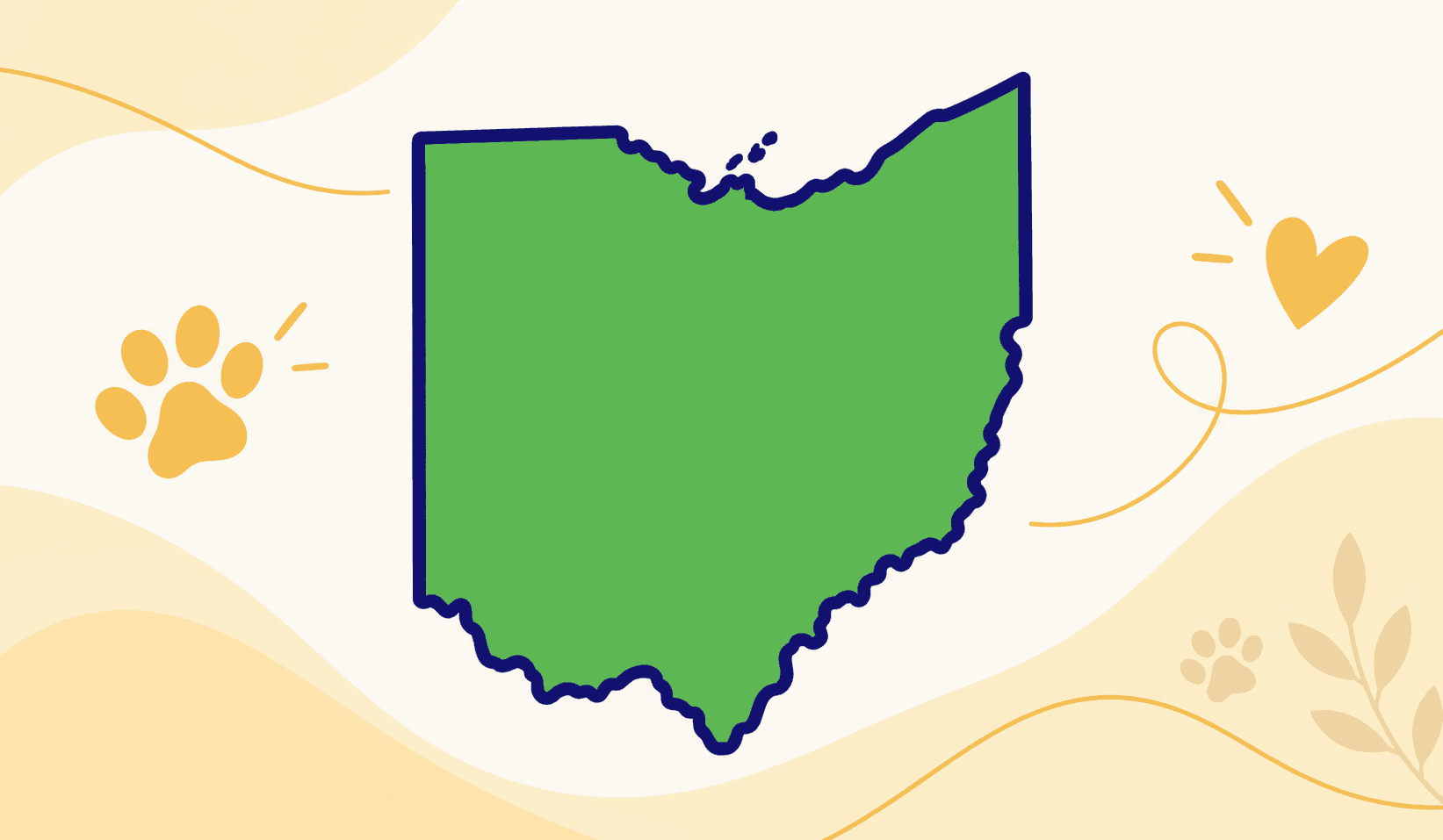 Ohio Feline Application state illustration